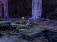 Still more medding between fights in Netherbian Lair
