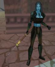 Bogakona's guild leader in the Bazaar