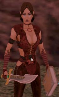 Lowis in the Wayfarer's camp in Butcherblock