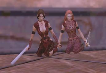 Lowis and Bogakona in the Tower of Frozen Shadows